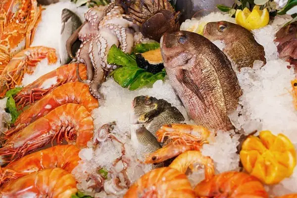 Assorted seafood on ice