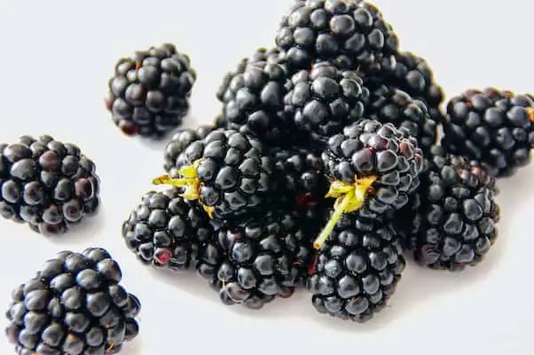 Keto blackberries