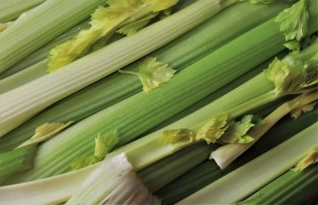 Several stalks of celery