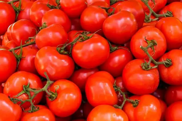 Red tomatoes with stems
