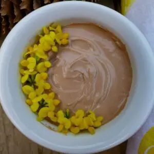keto chocolate ricotta mousse in a bowl with flowers as decorations