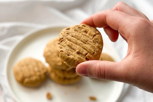 Hand holding a vegan peanut butter protein cookie